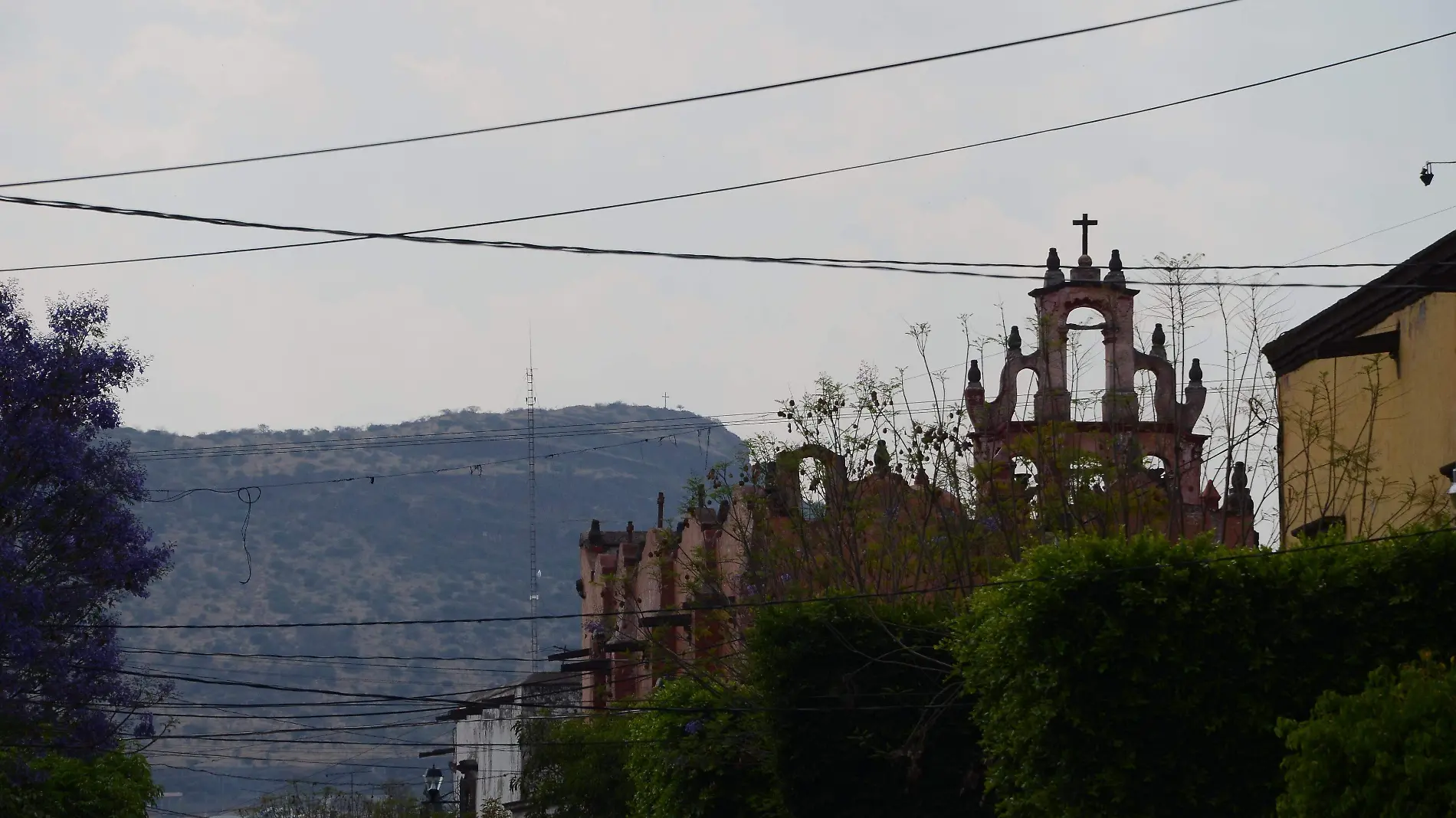 Sanjuanenses se suman a reforestar cerro de La Venta.  Foto Archivo